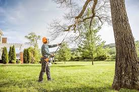 Best Aeration Services  in Tulsa, OK