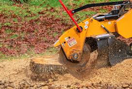 Best Tree Mulching  in Tulsa, OK